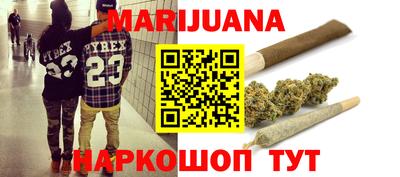 стаф Гатчина