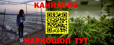 стаф Гатчина