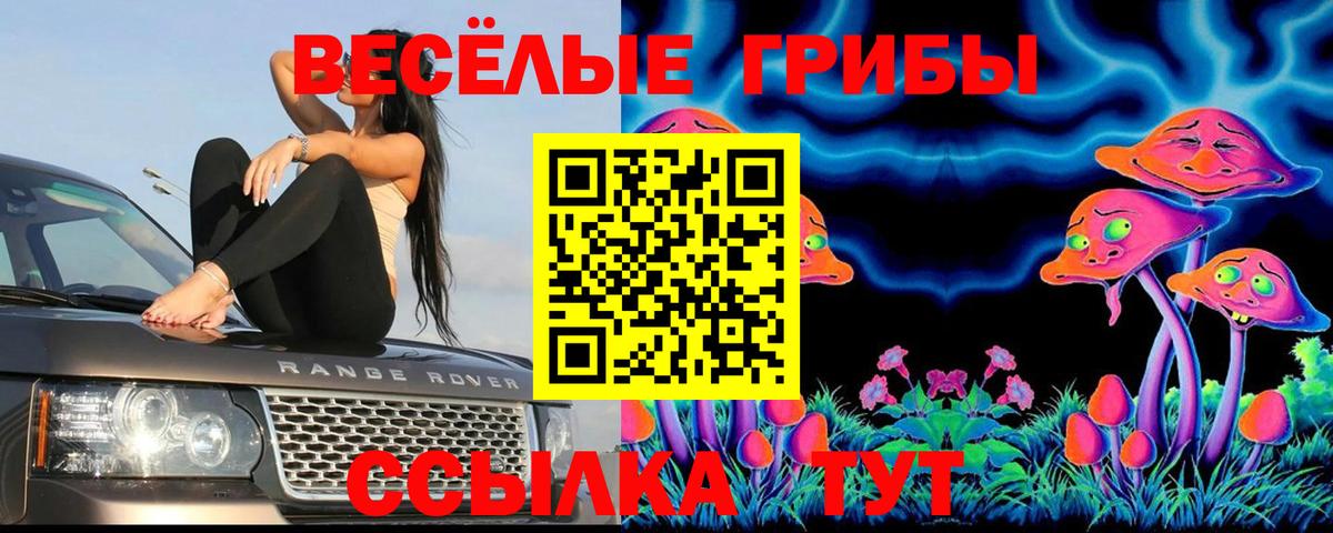 Псилоцибиновые грибы Psilocybe  Псилоцибиновые грибы Magic Shrooms  что такое наркотик  Новочеркасск  Вход с VPN 